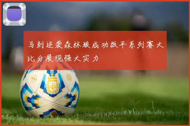 马刺逆袭森林狼成功扳平系列赛大比分展现强大实力