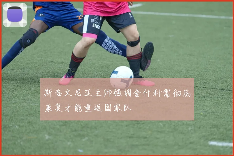 斯洛文尼亚主帅强调舍什科需彻底康复才能重返国家队