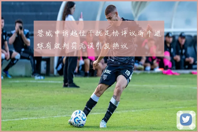 蓉城申诉越位干扰足协评议海牛进球有效判罚无误引发热议